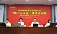 蒙娜丽莎2020年度业绩说明会：围绕“大瓷砖、大建材、大家居”发展战略