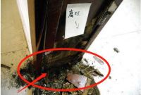 首次装修被自己蠢哭！一连装了10个错误，尽是为生活添堵，毁房