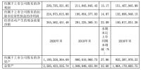 王力安防2020年年度报告：净利润为2.4亿元，较上年同期增长13.17%