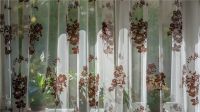 轻薄凉爽 夏季窗帘选择推荐