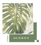 Harbor House新品，走进新鲜的初夏卧室！