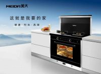 集成灶十大品牌排行榜