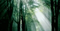 【领绣】甜蜜的三口之家 现代简约 随意生活