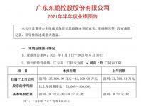 东鹏控股2021上半年预计净利润3.78亿-4.32亿元，同比预增75%—100%