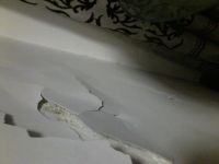 通风除甲醛切记两点要注意，否则毁了装修可别怪我没提醒