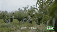 成都版「向往的生活」，一处院子，聚集一群天南海北的“家”人