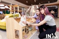 开业现场客流爆满，INxpark硬河家居公园新玩法引爆开场