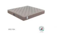 养生1号面世！佳尼开启养生睡眠新纪元