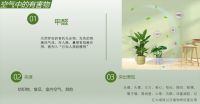 现代都市生活我们呼吸的空气缺乏维生素！