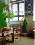 李亚鹏办公室内景曝光！桌上放很多手写笔记本，豪华茶几能养鱼
