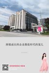 红宝石刘德海：从文化入手寻求企业长青之道