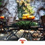 Alpina尊享铂家墙面漆新品升级，为爱添彩，留住中秋味