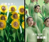 看了立邦这六支视频，才发现家里有它们才够“墙”