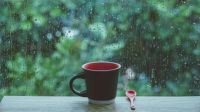 秋雨多湿气重怎么破？放心，有日立无湿意