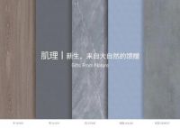 击破传统墙面装饰壁垒  东鹏岩板横空出世