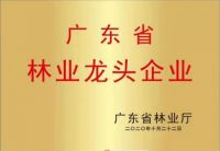 骏丰木链网-丰用多功能生态板创立者-板材家居细分行业引领者
