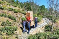 6000级的门槛：跨过就是门，跨不过就是槛