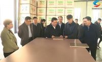 临沂费县领导一行调研探沂镇木业全产业链发展情况