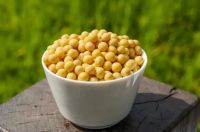 天然豆香抗菌生态板，带你走“净”健康生活
