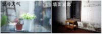 湿冷天气墙面发霉，看美涂士艺术漆帮你解决！