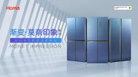 奥马冰箱莫奈印象545L对开门冰箱：赏光影艺术，护食材新鲜