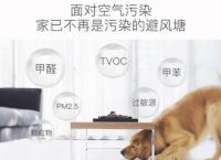 被过度吹捧过的3种除甲醛好物 没用两次就露馅了