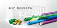 虎力全开向未来 童欣管聚焦打通新市场