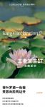 【领绣·菁华】以风荷雅韵，写意城市家居文化名片