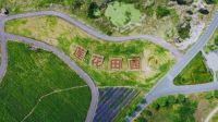 华侨城北方集团 | 推动绿色转型，争做“双碳”路上先行者