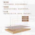 索菲亚全面升级打造亲肤UV产品华尔兹Pro系列