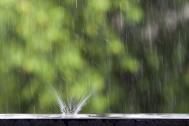 紧急通知，“梅雨季”要来啦！