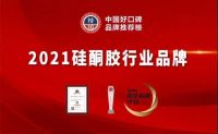 只为一个全新高度：以恒有机硅荣获“2021行业十大品牌硅酮胶行业品牌”！