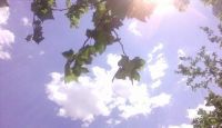 夏天睡不着？东宝床垫打造高质量睡眠