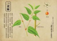 儿童床垫挑选 9 大避坑指南二：⑧父母们好奇的新品黄麻芯材