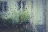 被梅雨天逼疯了，潮湿、细菌、异味退退退！