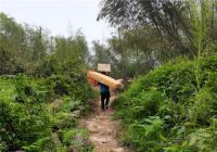 天猫618推出家装消费一站式服务:免费安装、免费取旧