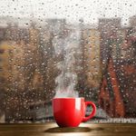 霉菌肆虐的梅雨季，怎样才能拥有舒适的“梦想家”？