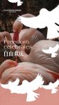 【领绣】新品发布丨《天使10》——自由欢庆