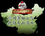 德高“品质同行”第五年，为瓷砖“零空鼓”坚定前行