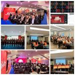 兔宝宝双11钜惠来袭，线上线下全国同启
