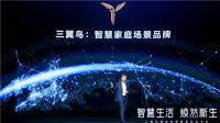 门店总数量达3300＋，三翼鸟将成海尔智家增长新引擎