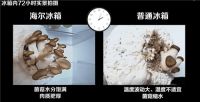 海尔感恩月：为用户幸福，主动接受挑战