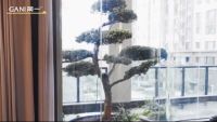 玩转意式极简，看简一设计师如何将中西元素完美融合