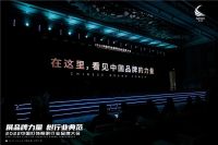 见证荣耀丨锋磁天下荣获亮点奖“十大无主灯品牌”