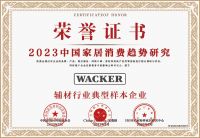 瓦克支装胶荣获2023中国家居消费趋势研究消费者喜爱的密封胶品牌