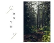 原生态的木纹印象,生活中的理想家