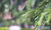@正在过梅雨季的南方人，点击领取你家的墙布除霉防霉攻略