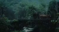 享受一场雨眠吧,梦中没有风雨,唯有属于中国人的睡眠智慧