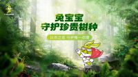 兔宝宝守护珍贵树种 | 以木之名，守护每一点绿色