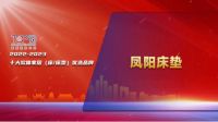 奋斗实干 不负韶华丨凤阳床垫“2022-2023十大软体家居优选品牌”榜单荣耀入围